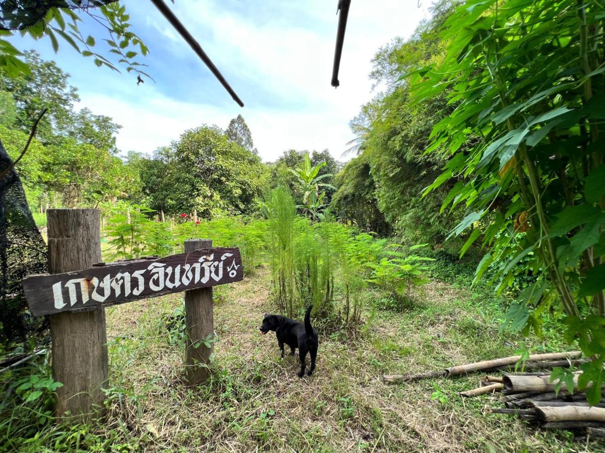 Phow Homestay Ban Mai  Kültér fotó